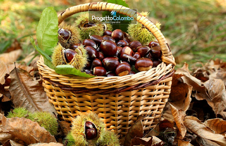 Castagne e Funghi Ognissanti in Ciociaria - foto 12