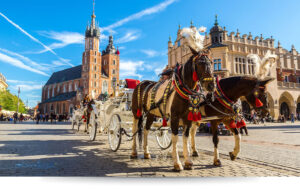 Progetto Colombo organizza: tour meraviglie della Polonia, in lingua italiana con partenza da Bari