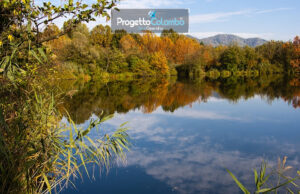 Weekend Autunno a Camigliatello Silano con organizzazione Progetto Colombo, Vacanza di gruppo, assistenza Progetto Colombo in loco.