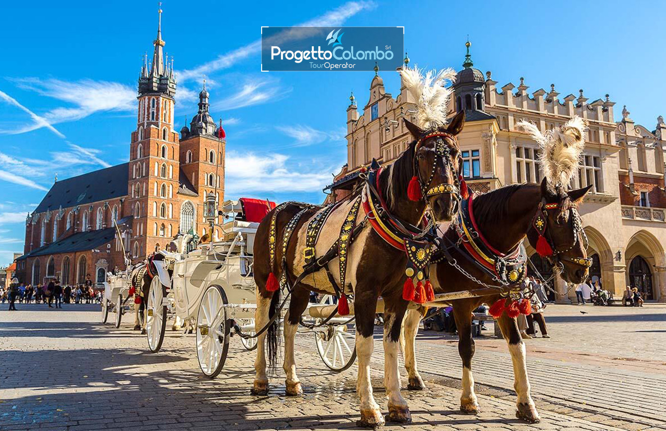 Polonia, Cracovia, Volo da Bari, Mini Tour, Low Coast, Progetto Colombo Bari, Guide in loco in Italiano_29