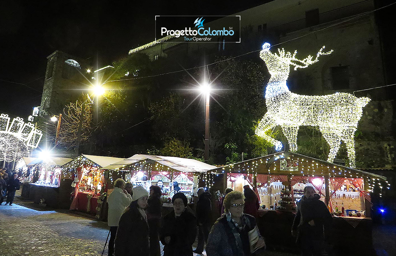 Viaggio in Bus Gt, Castello di Limatola, Progetto Colombo, Mercatini di Natale, Luminarie, Viaggio di Gruppo, Accompagnatore_13