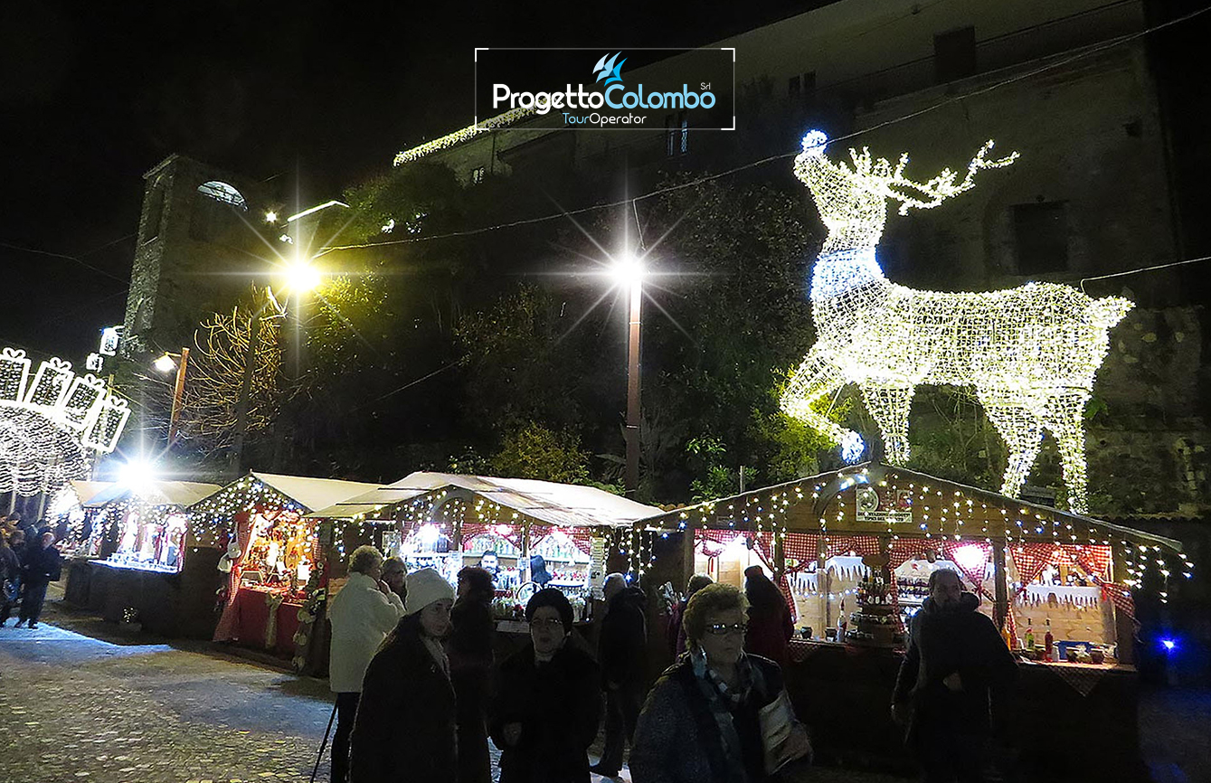 Viaggio in Bus Gt, Castello di Limatola, Progetto Colombo, Mercatini di Natale, Luminarie, Viaggio di Gruppo, Accompagnatore_15
