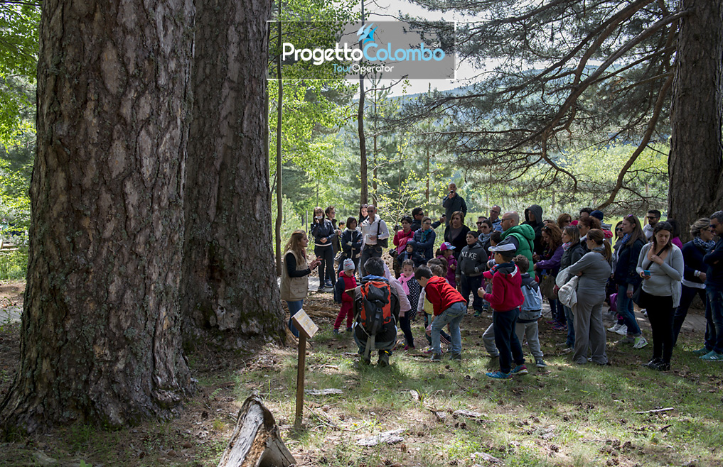 Weekend Neve, Camigliatello Silano, Hotel Sila, Sci. Snowboard, I giganti della Sila, Ciaspolata, escursioni, quad, equitazione, motoslitta Viaggio di Gruppo, Progetto Colombo, Tour operator, Treno_Giganti