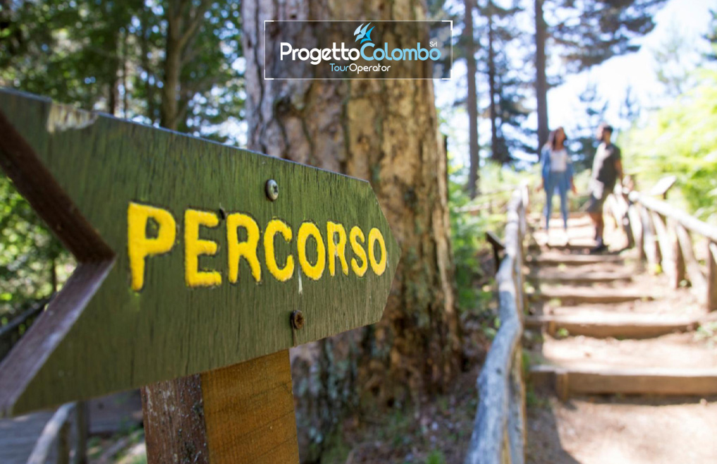 Weekend Neve, Camigliatello Silano, Hotel Sila, Sci. Snowboard, I giganti della Sila, Ciaspolata, escursioni, quad, equitazione, motoslitta Viaggio di Gruppo, Progetto Colombo, Tour operator _Giganti1